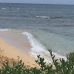 Meet your Posher, Jina